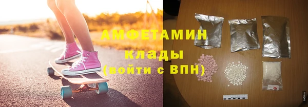 прущие грибы Алзамай
