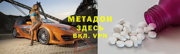 прущие грибы Алзамай
