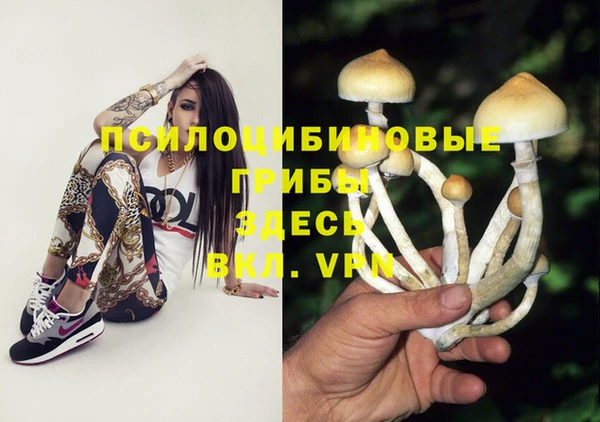 прущие грибы Алзамай