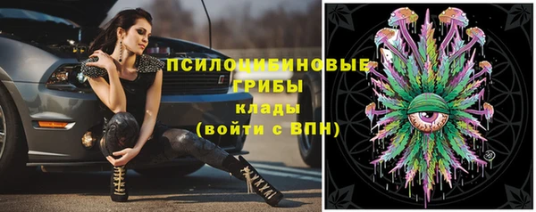 прущие грибы Алзамай