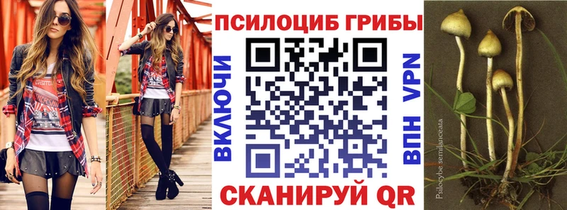 Галлюциногенные грибы GOLDEN TEACHER  Кудрово 