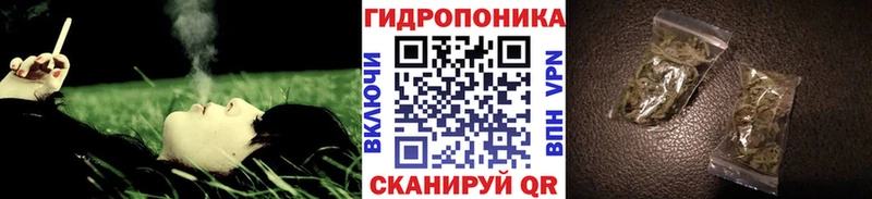 Марихуана White Widow  купить   Кудрово 